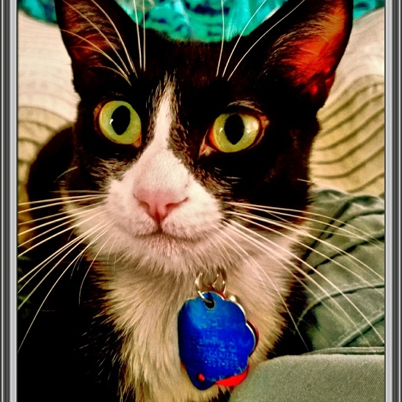 Meet your Posher, Deb - Picture 1 of 1